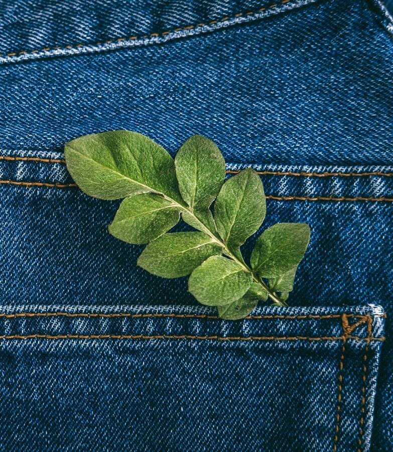 eco-jeans2.jpg